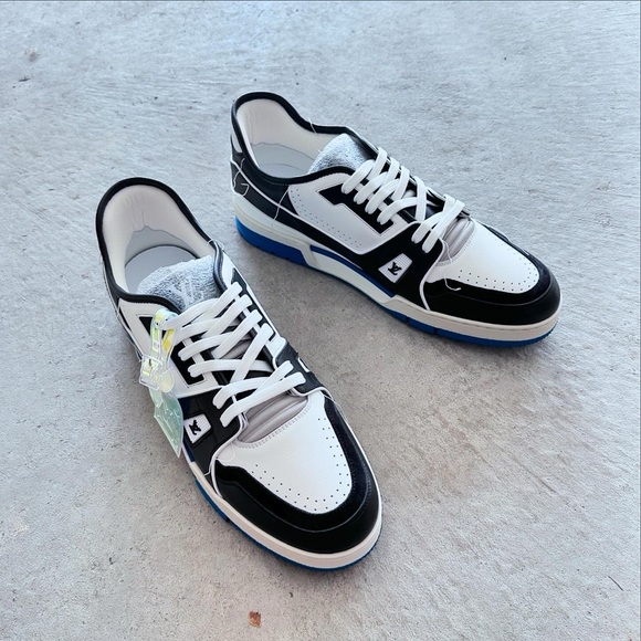 Louis Vuitton Trainer Low Sneakers - Hiroshi Fujiwara Colorway - Picture 5 of 14